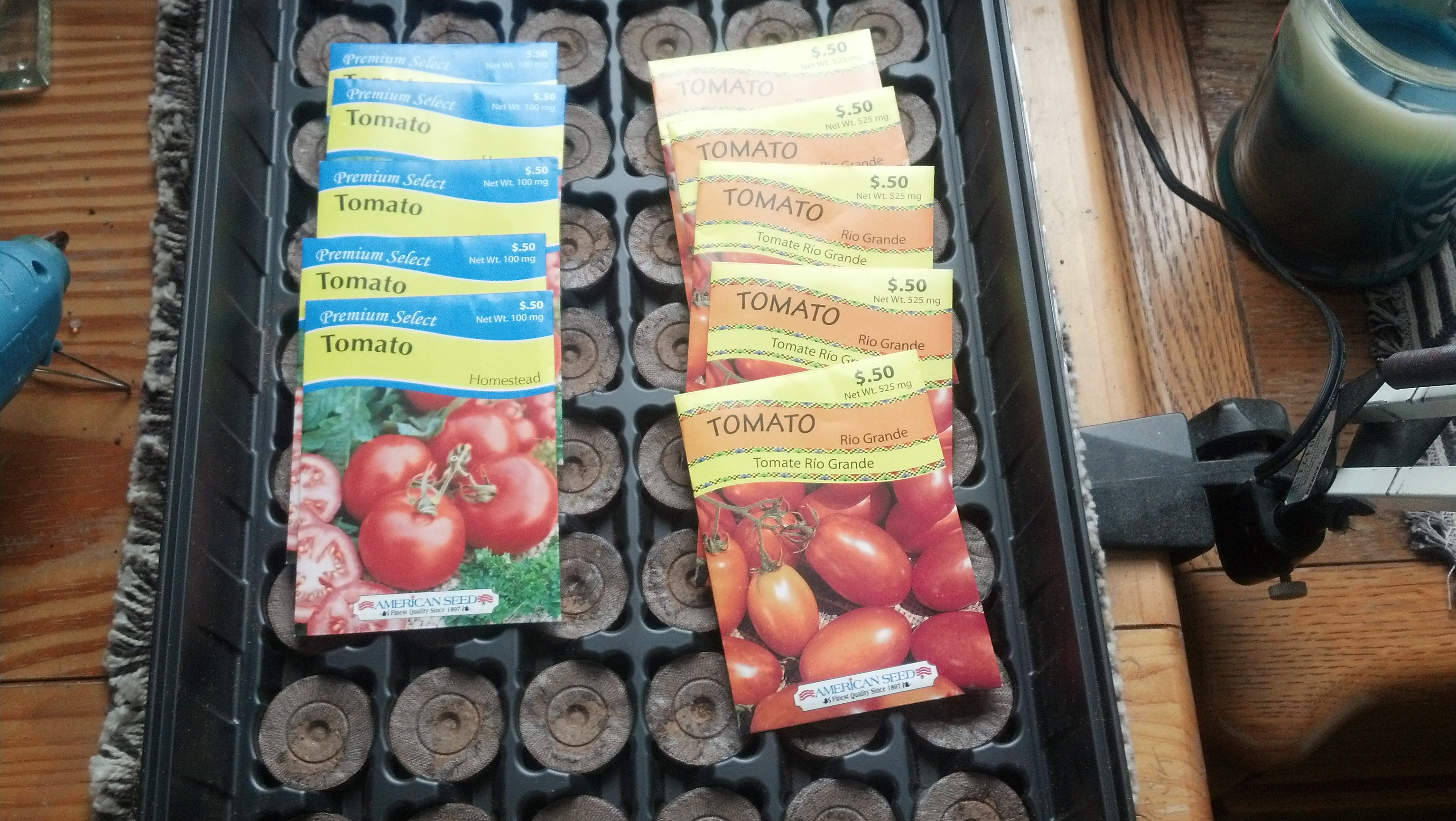 I am using Rio Grand and Homestead seeds. I am going with a shotgun approach and planting a lot of the seeds.